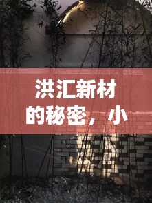 洪汇新材的秘密，小巷深处的独特风味探秘之旅