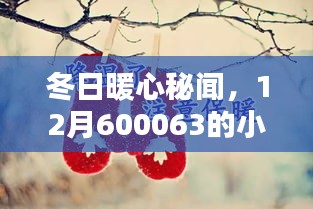 冬日暖心秘闻，小道消息与温馨日常（12月600063篇）
