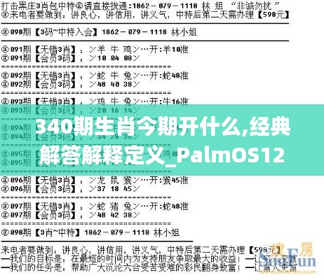 340期生肖今期开什么,经典解答解释定义_PalmOS12.980-2
