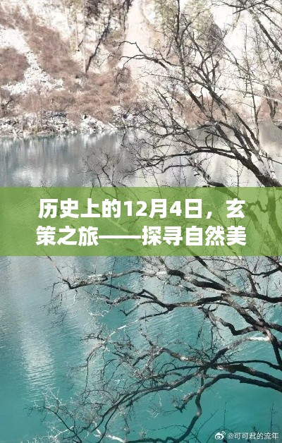 玄策之旅，探寻自然美景与内心平静的艺术历史探寻日（12月4日）