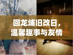 回龙埔旧改日，重逢的温馨趣事与深厚友情