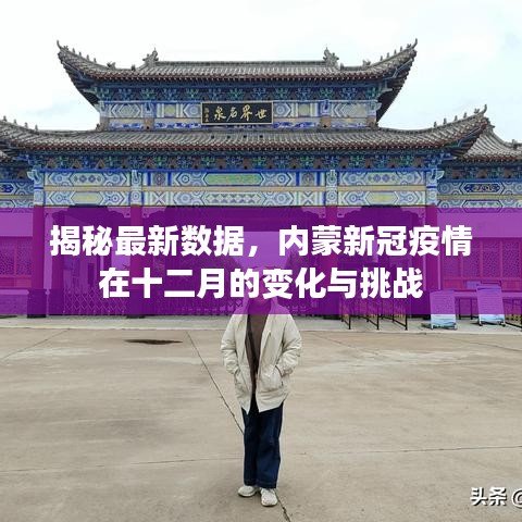 揭秘最新数据，内蒙新冠疫情十二月变化与面临的挑战
