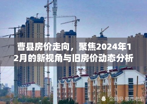曹县房价动态分析，2024年12月的新视角与旧房价走向聚焦