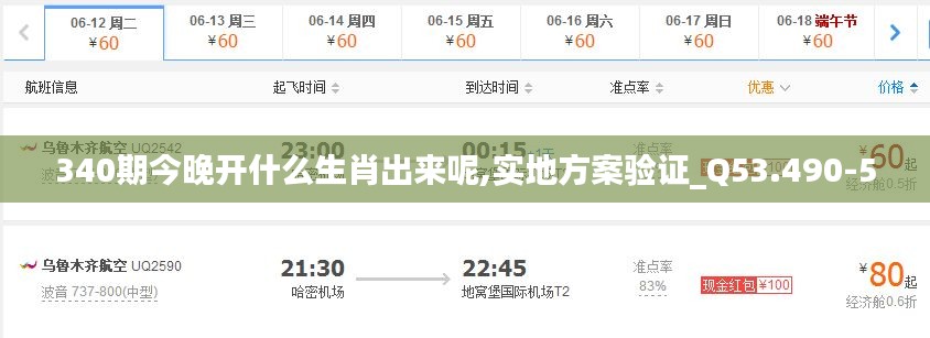 340期今晚开什么生肖出来呢,实地方案验证_Q53.490-5