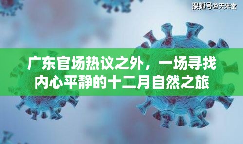 广东热议之外，十二月自然之旅寻求内心平静