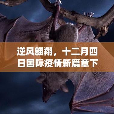 逆风翱翔，国际疫情新篇章下的学习变革之旅