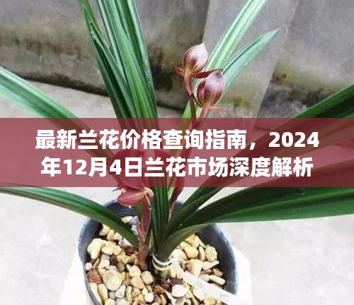 鸟声兽心 第2页