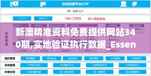 新澳精准资料免费提供网站340期,实地验证执行数据_Essential14.519-2
