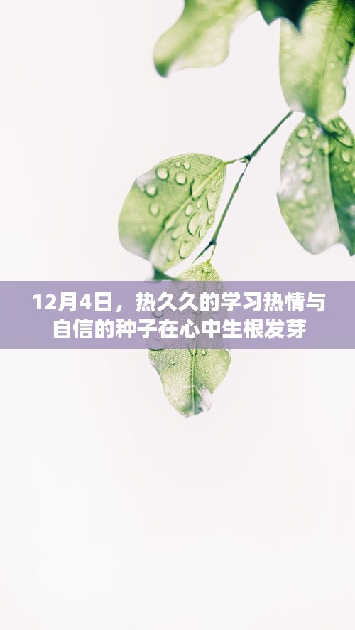 12月4日，热久久的学习热情播种心中，自信种子生根发芽