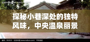 探秘中央温泉丽景隐藏小巷的特色小店，独特风味揭秘之旅（最新揭秘日期，2024年12月4日）