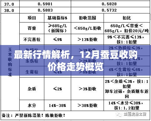最新行情解析，12月蚕豆收购价格走势概览及市场分析