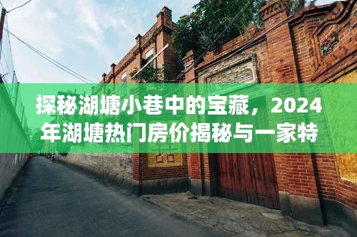 湖塘小巷探秘，宝藏、房价揭秘与特色小店的奇遇之旅（2024年）