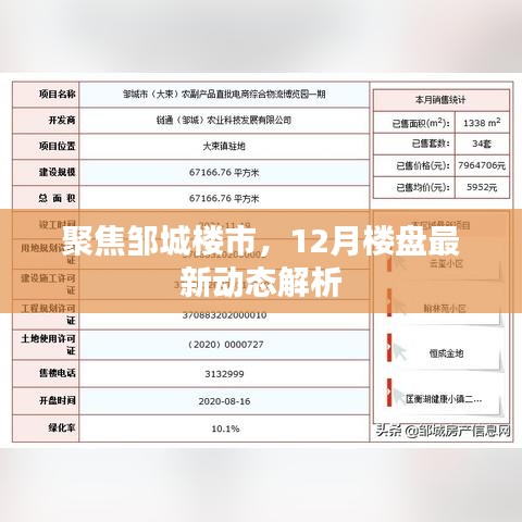 邹城楼市聚焦，12月楼盘最新动态深度解析
