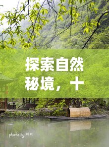 探寻自然秘境，十二月课前新闻分享之旅启程，寻找内心的桃花源