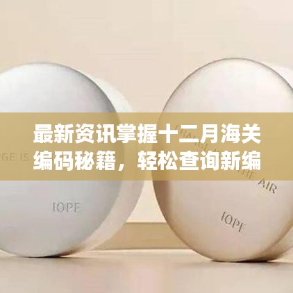 十二月海关编码秘籍，最新资讯助你轻松掌握新编码查询！