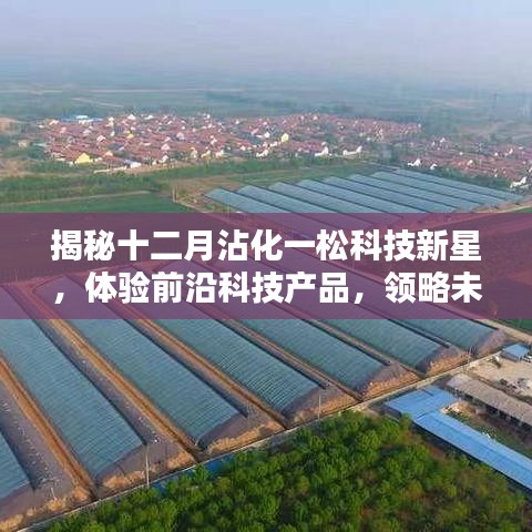 揭秘沾化一松科技新星，前沿科技产品体验之旅，领略未来生活新篇章