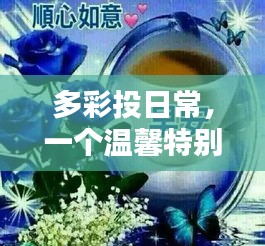 多彩投日常，温馨特别的12月4日纪事