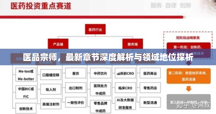 医品宗师深度解析与领域地位探讨