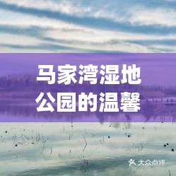 马家湾湿地公园的温馨日常，冬日友谊与陪伴的故事