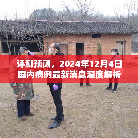 深度解析，2024年12月4日国内病例最新消息与趋势预测