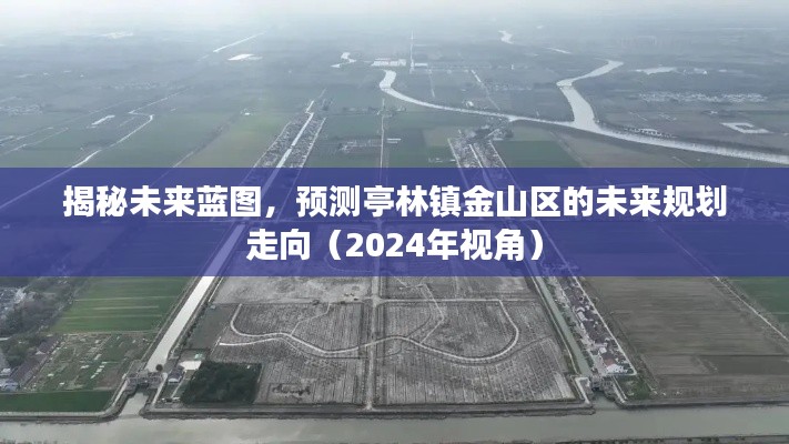 亭林镇金山区未来蓝图揭秘，2024年规划走向展望