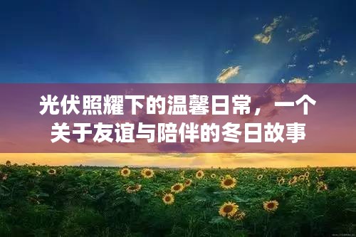光伏照耀下的冬日友情与陪伴故事