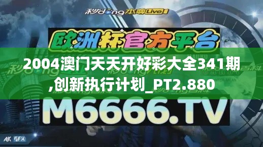 2004澳门天天开好彩大全341期,创新执行计划_PT2.880