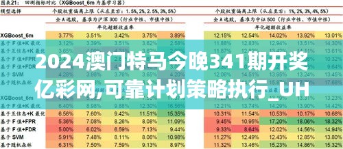 2024澳门特马今晚341期开奖亿彩网,可靠计划策略执行_UHD版2.802