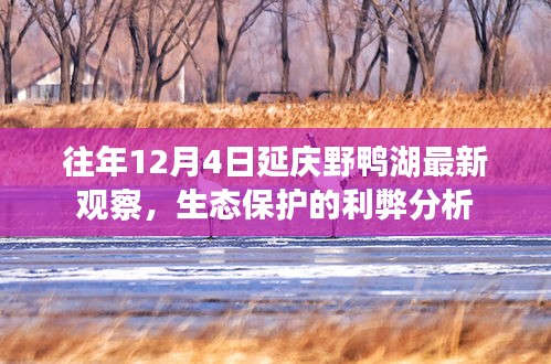 往年野鸭湖最新观察，生态保护利弊分析