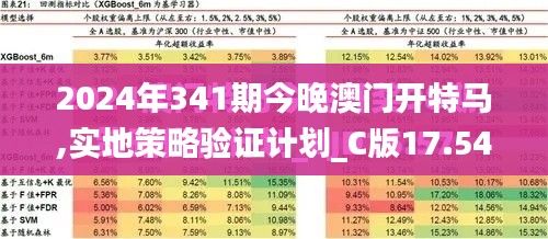 2024年341期今晚澳门开特马,实地策略验证计划_C版17.545