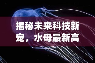 揭秘未来科技新星，水母智能产品引领超乎想象的智能生活革新