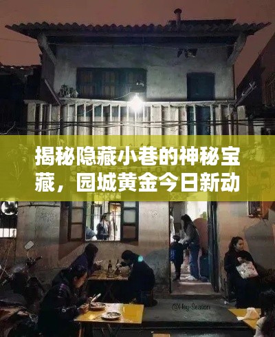 探访园城黄金新动态，神秘小巷的宝藏小店揭秘