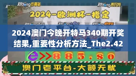 2024澳门今晚开特马340期开奖结果,重要性分析方法_The2.425