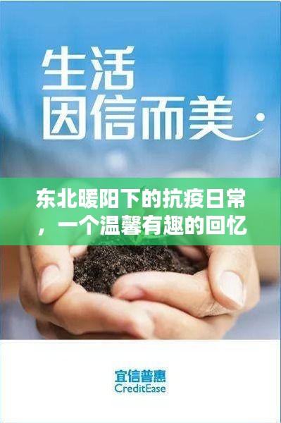 东北暖阳下的抗疫日常，温馨有趣的回忆之旅