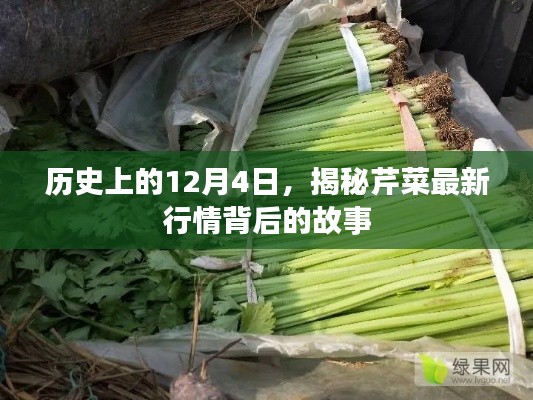 抛砖引玉 第2页