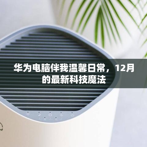 华为电脑助力温馨日常，12月最新科技魔法体验
