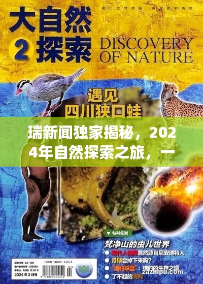 瑞新闻独家揭秘，2024年寻找内心平静的奇妙自然探索之旅