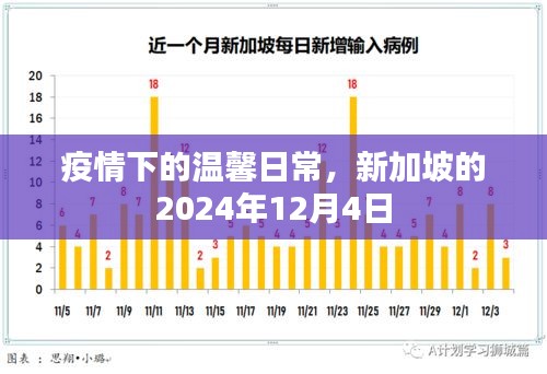 新加坡疫情下的温馨日常，2024年12月4日的记录