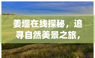 姜堰在线探秘之旅，追寻自然美景，心灵宁静的启程