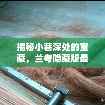 兰考小巷深处的宝藏，最新房价揭秘与特色小店的独特魅力