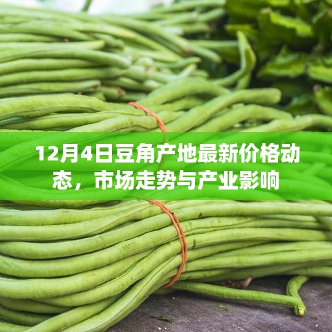 12月4日豆角产地最新价格动态，市场走势及产业影响分析