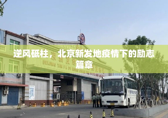 北京新发地疫情下的逆风砥柱励志篇章