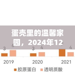 蛋壳温馨奇遇，友情与家园的相遇，2024年12月4日的记忆