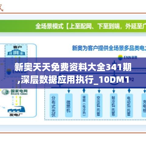 新奥天天免费资料大全341期,深层数据应用执行_10DM13.452