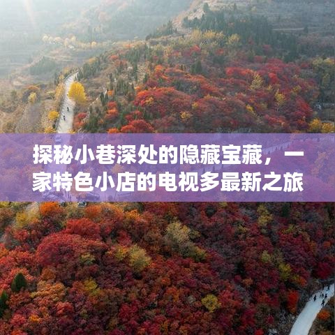 探秘小巷深处的独特宝藏，一家特色小店的电视之旅