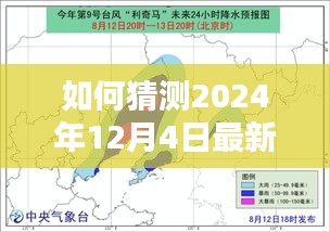 步骤指南，预测2024年12月4日台风对吉林的影响分析