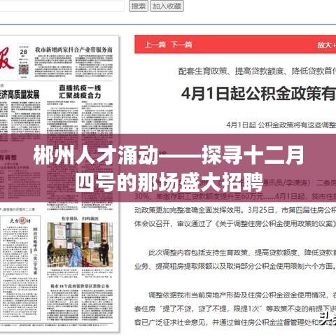 郴州人才涌动，盛大招聘活动揭秘——十二月四号的人才盛宴