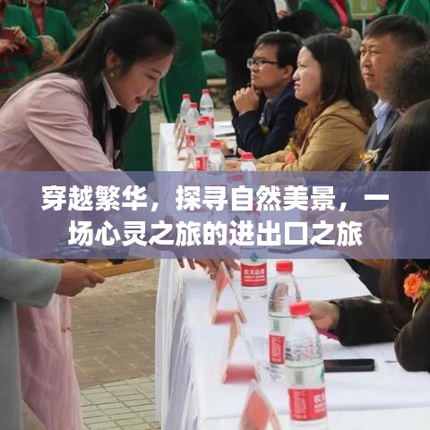 鸟穷则啄 第2页