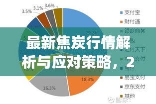 2024年焦炭市场深度洞察，最新行情解析与应对策略