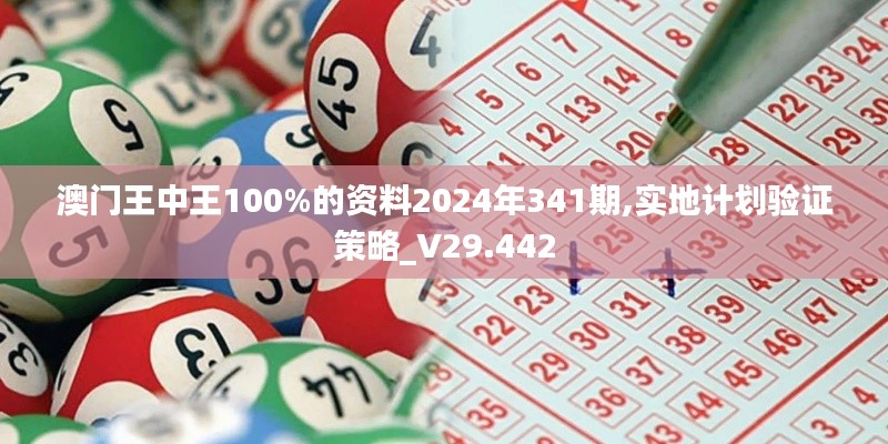 澳门王中王100%的资料2024年341期,实地计划验证策略_V29.442